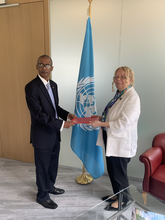 New Permanent Representative Of Sudan Presents Credentials To The Director General Of The United 1856